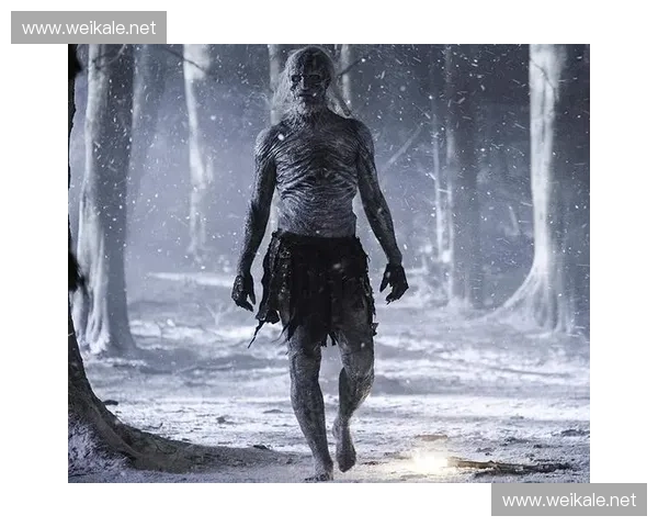 《风暴英雄守望者的崛起与荣耀战役探索》 《风暴英雄守望者的崛起与荣耀战役探索》